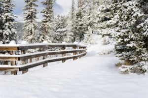 Cosas que ocurren cuando nieva en España