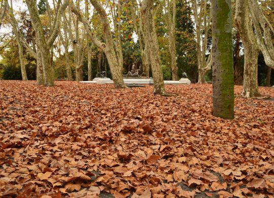 Planes para el otoño